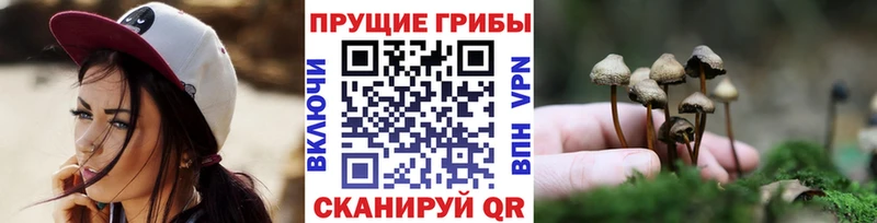 OMG сайт Рославль Псилоцибиновые грибы Psilocybe как найти закладки