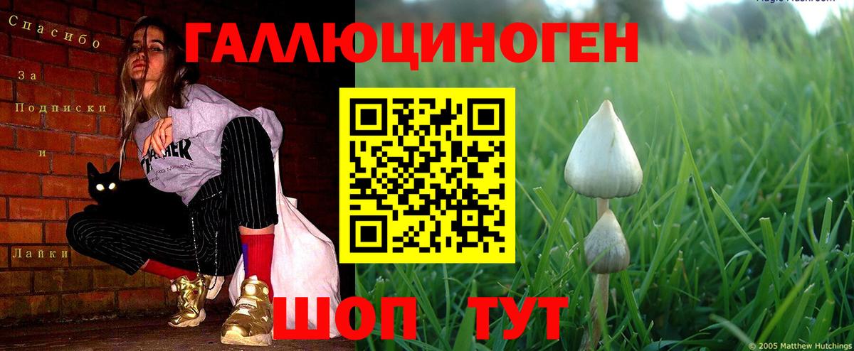Рославль  Галлюциногенные грибы мухоморы  Вход с VPN  закладки  Псилоцибиновые грибы Psilocybe 