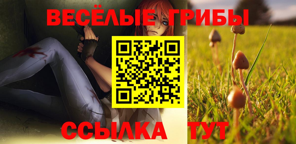 Псилоцибиновые грибы мицелий Рославль
